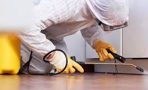 Best Termite Inspection and Treatment  in Princeton Meadows, NJ